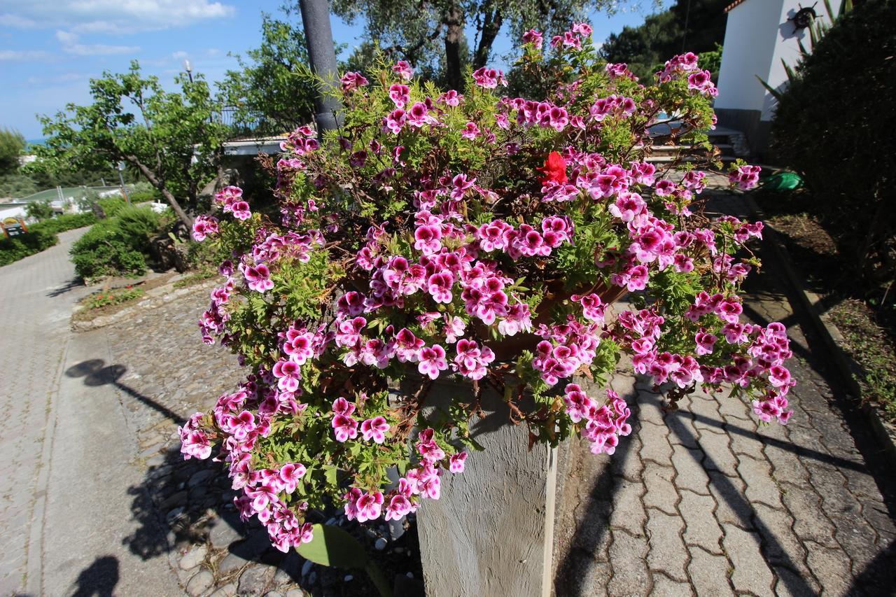 Villaggio Passo Dell'Arciprete Весте Екстериор снимка